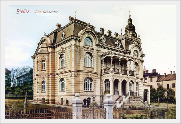 Willa Schneidera.