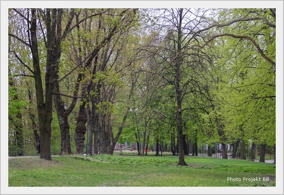 Park Włókniarzy.